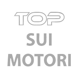 La crescita di TopSuiMotori su Google Ads