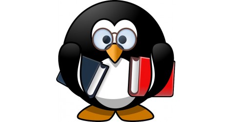 Google Penguin 4.0: ultimo aggiornamento!